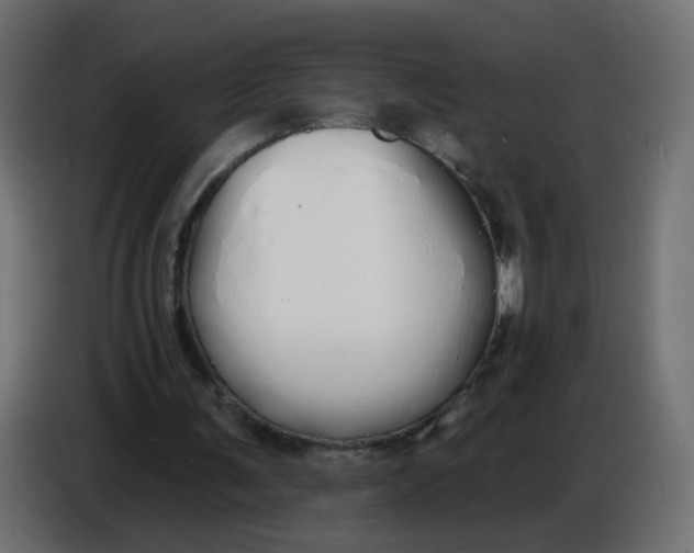 X0000086780291200705041533