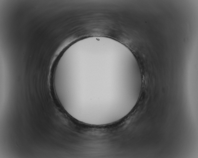 X0000086780292200705041533