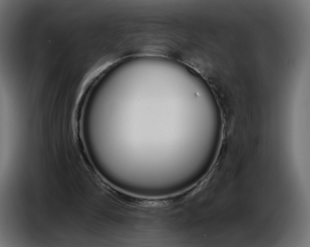 X0000086780294200705041533