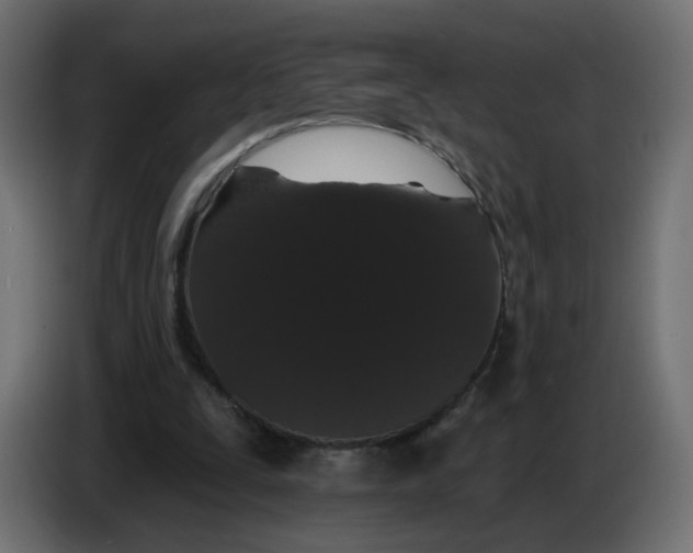 X0000086780295200705041533