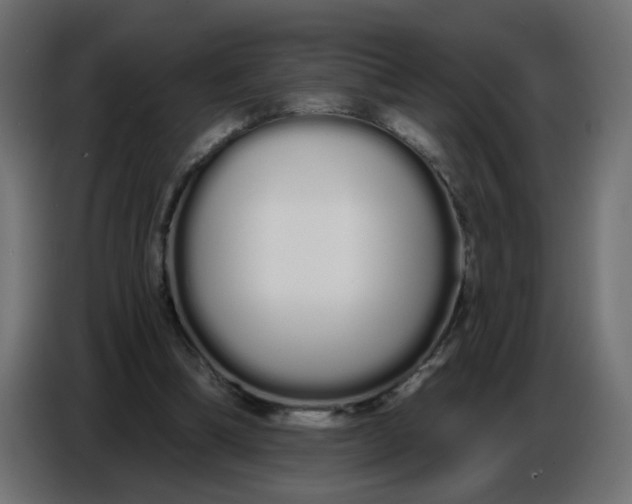 X0000086780298200705041533