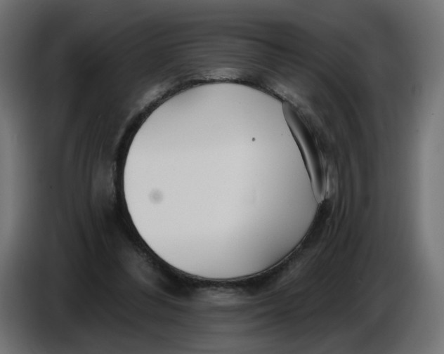 X0000086780300200705041533