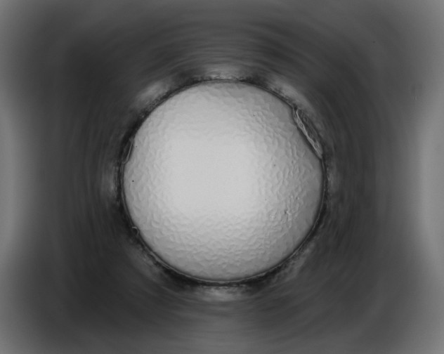 X0000086780305200705041533