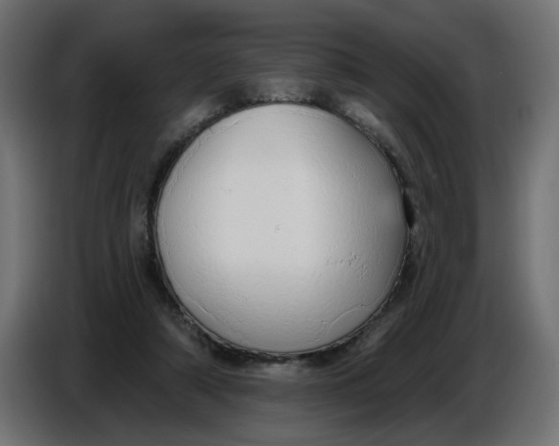 X0000086780306200705041533