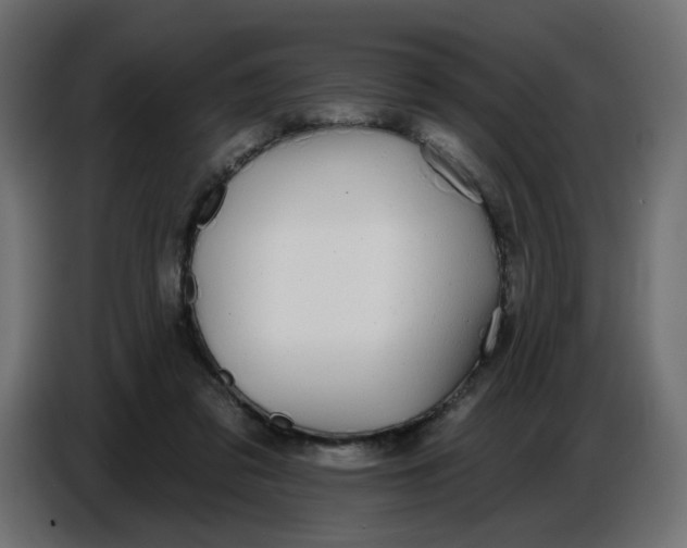 X0000086780309200705041533