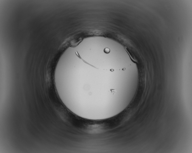 X0000086780312200705041533