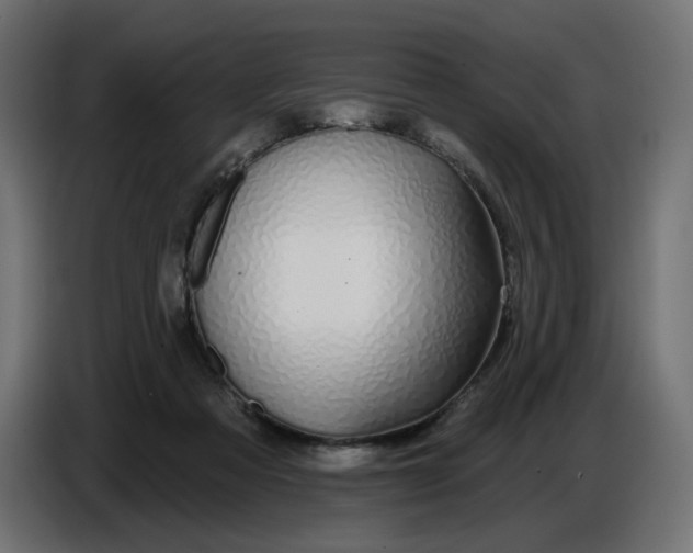 X0000086780313200705041533