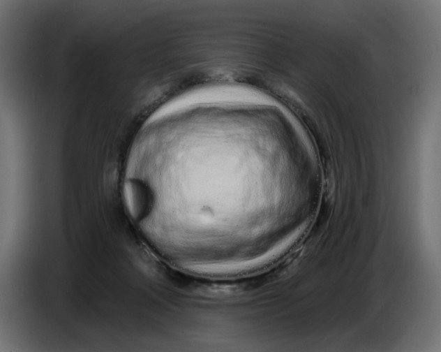 X0000086780314200705041533