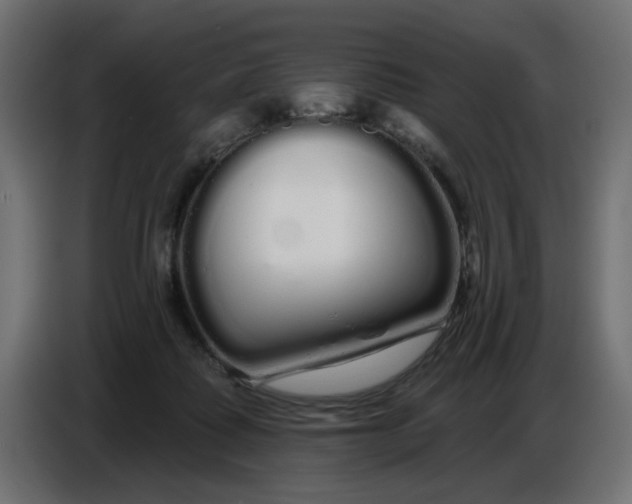 X0000086780315200705041533