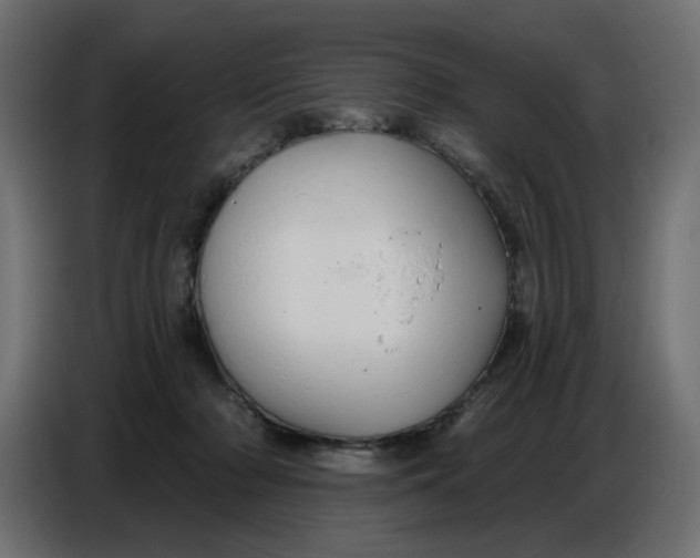 X0000086780318200705041533