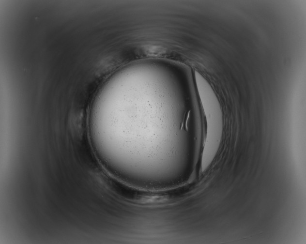 X0000086780319200705041533