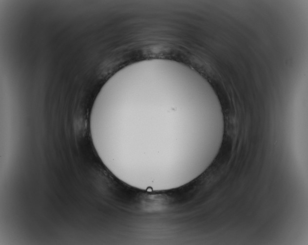 X0000086780324200705041533