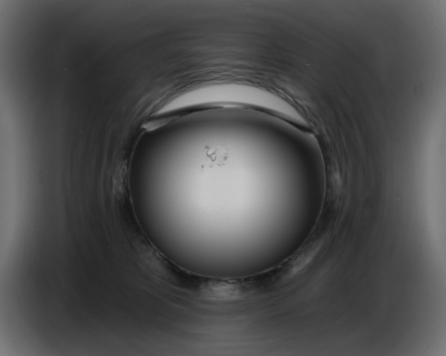 X0000086780325200705041533