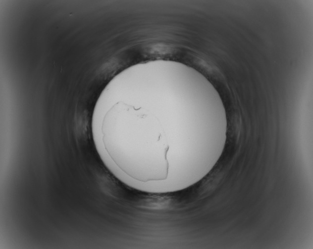 X0000086780328200705041533