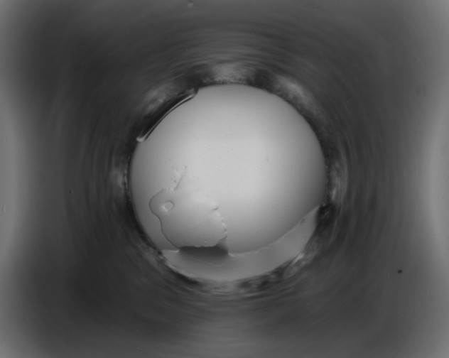 X0000086780329200705041533