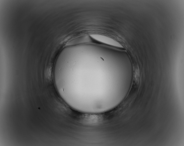 X0000086780330200705041533