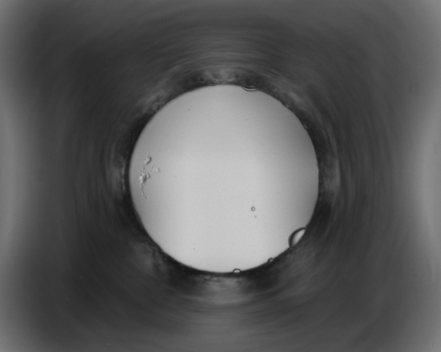 X0000086780332200705041533