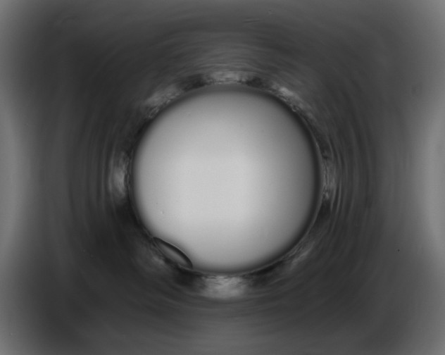 X0000086780334200705041533