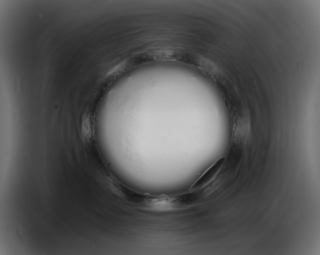 X0000086780335200705041533