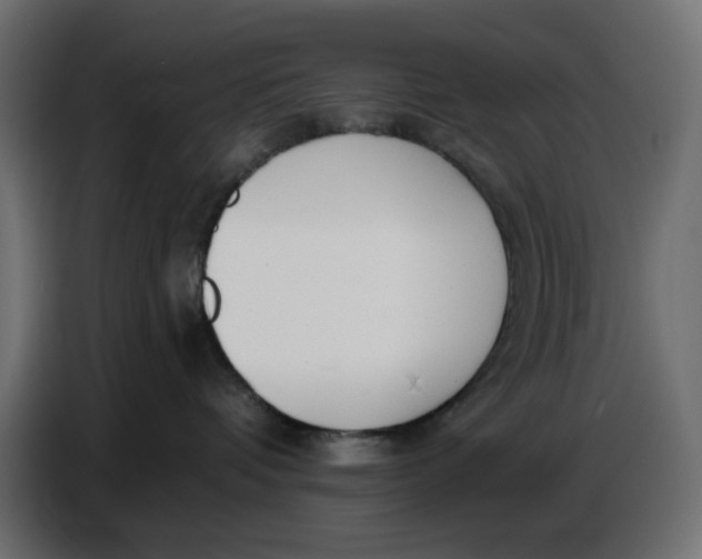 X0000086780336200705041533