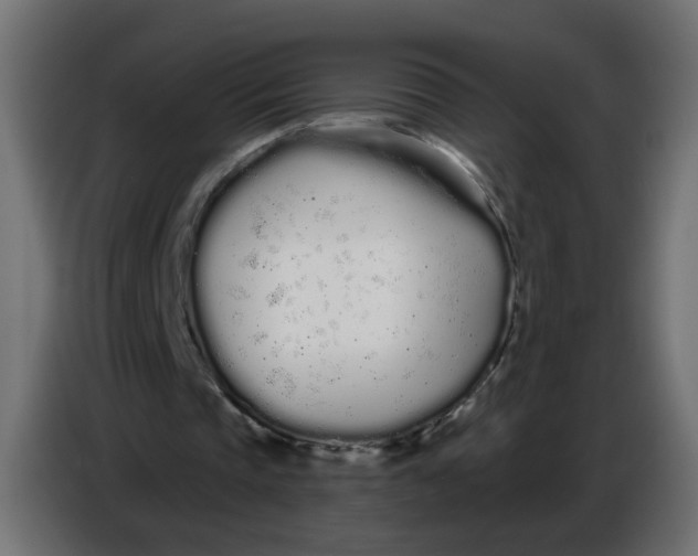 X0000086780337200705041532