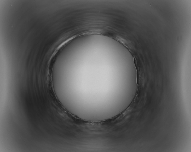 X0000086780338200705041532