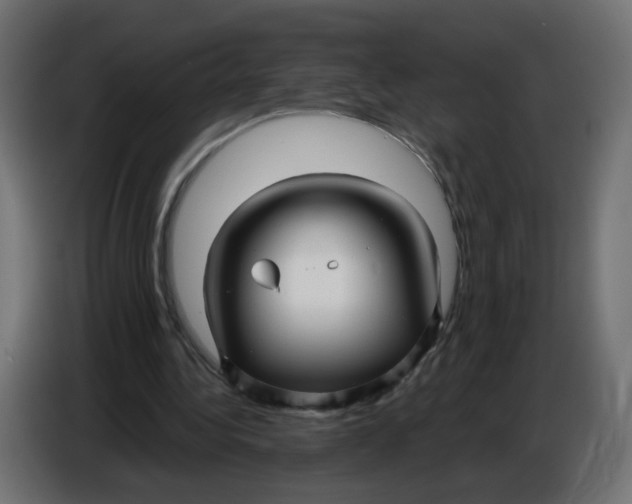 X0000086780340200705041532