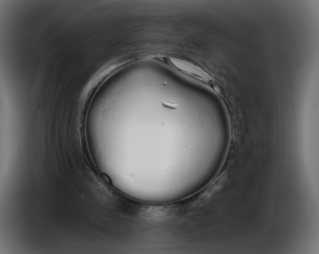 X0000086780341200705041532