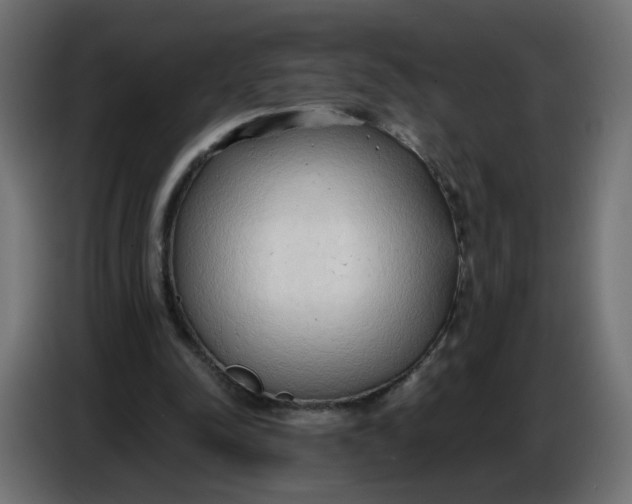 X0000086780342200705041532