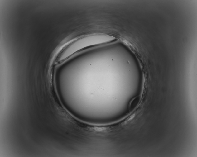 X0000086780343200705041532