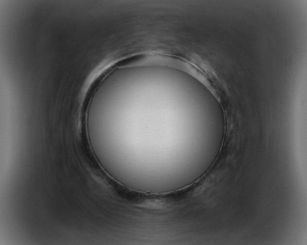 X0000086780344200705041532