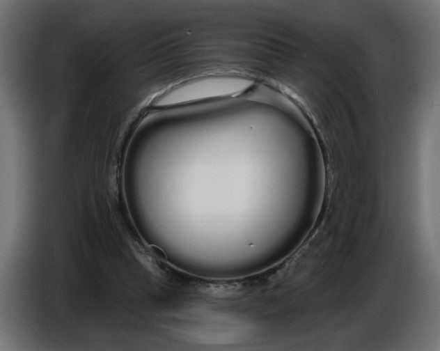 X0000086780345200705041532