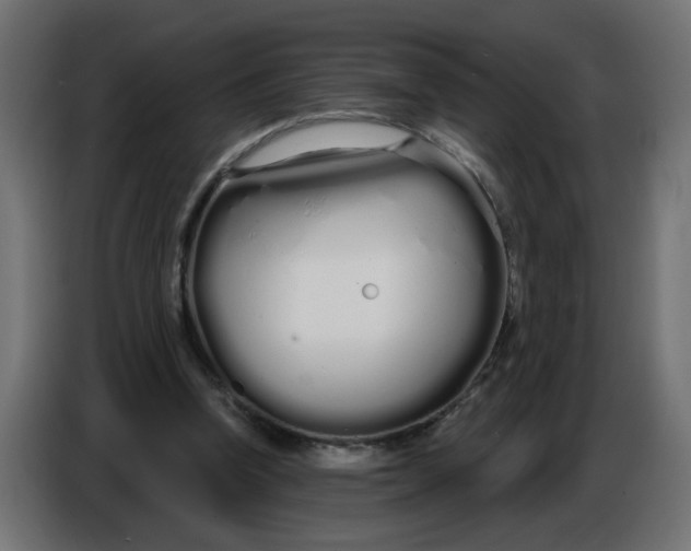 X0000086780346200705041532