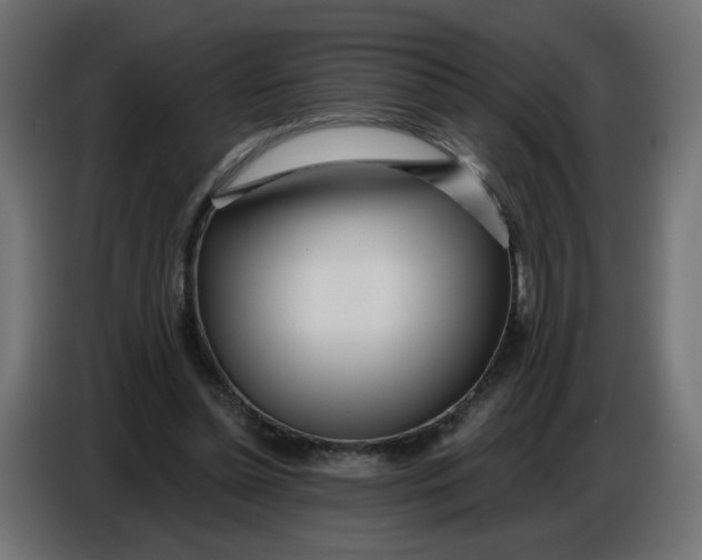 X0000086780348200705041532