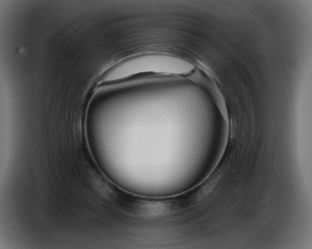 X0000086780349200705041532