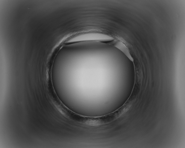 X0000086780350200705041532