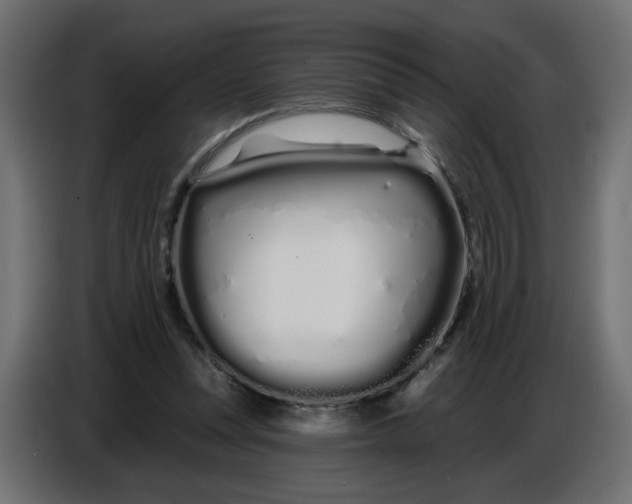 X0000086780351200705041532