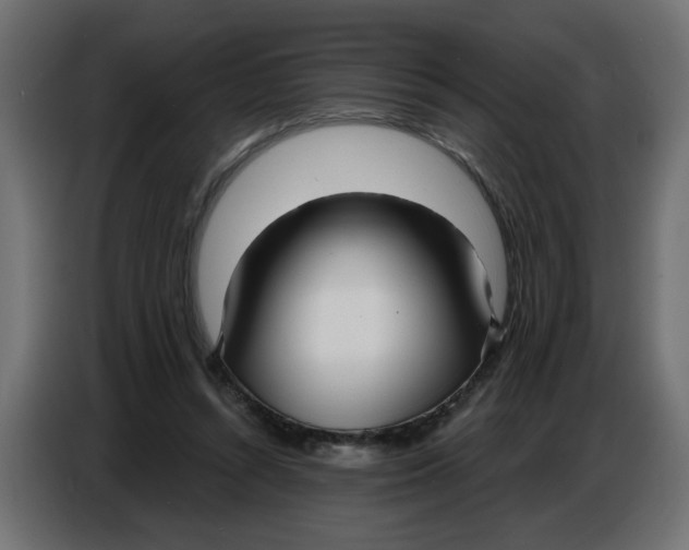 X0000086780352200705041532