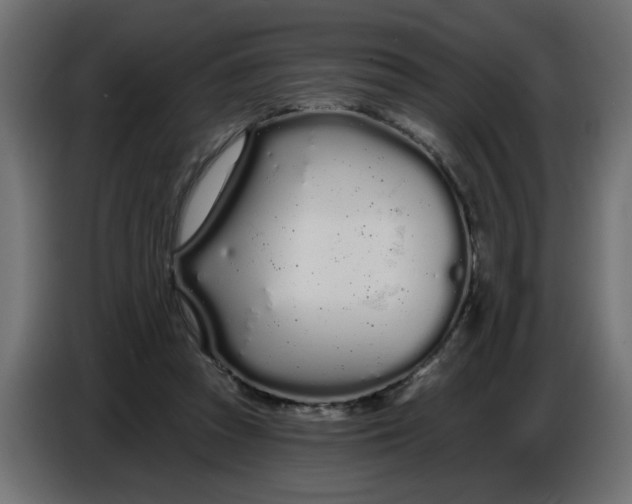 X0000086780353200705041532