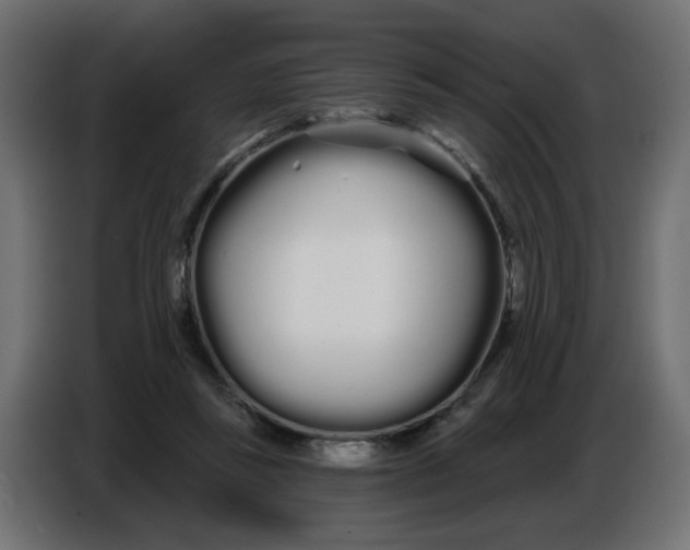 X0000086780355200705041532