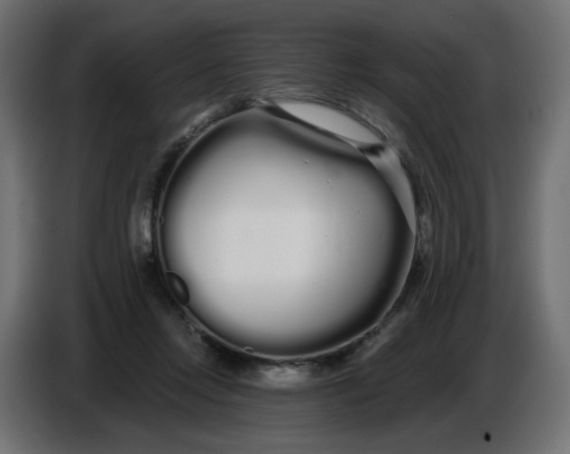 X0000086780358200705041532