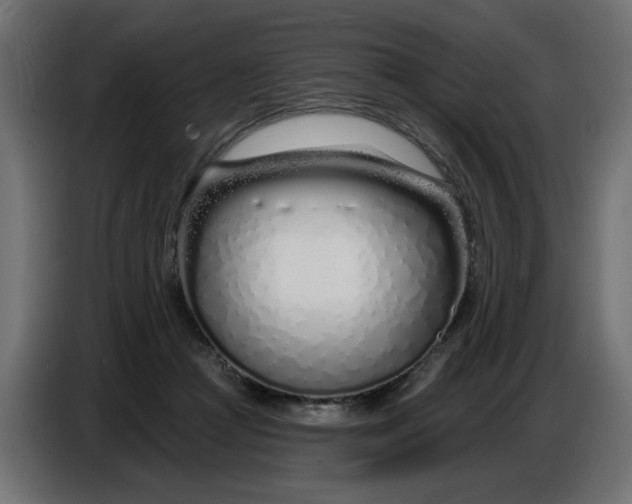 X0000086780361200705041533