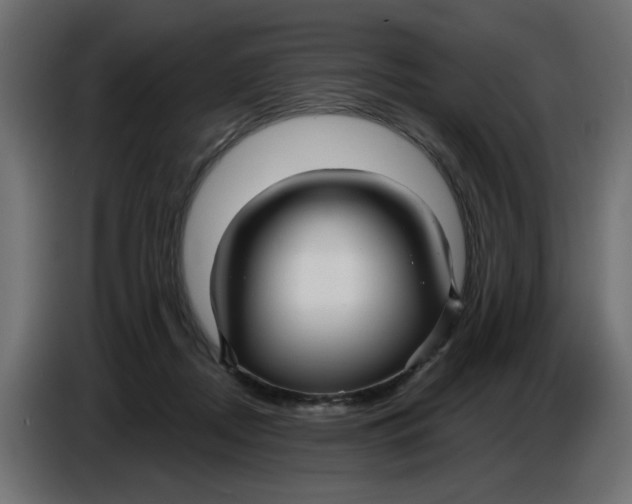 X0000086780362200705041533