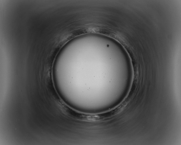 X0000086780363200705041533