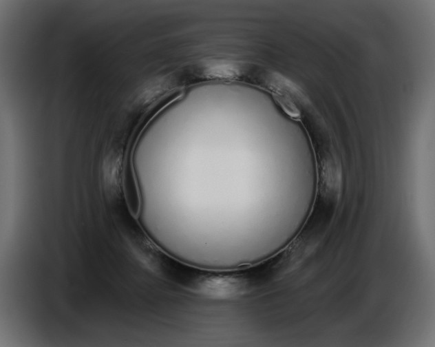 X0000086780364200705041533