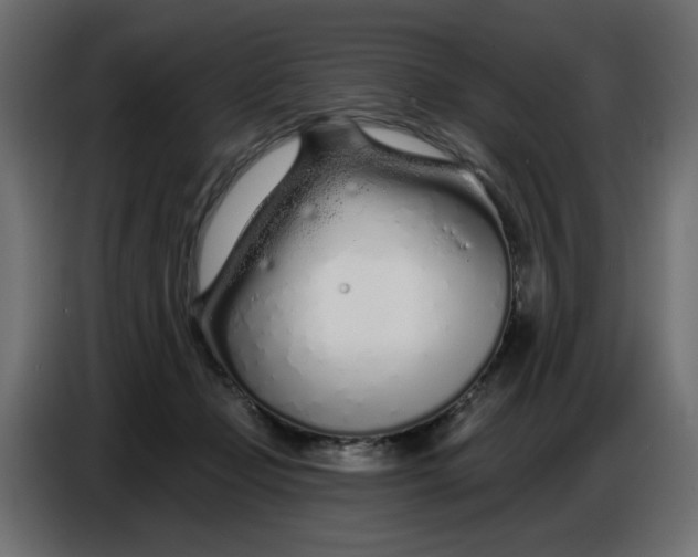 X0000086780365200705041533