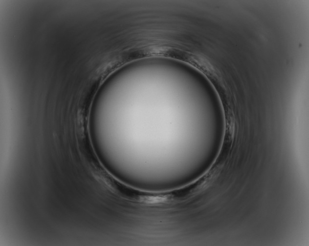 X0000086780366200705041533