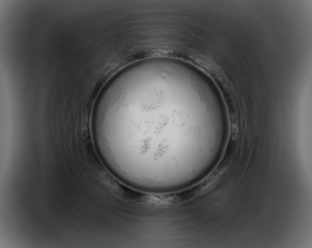 X0000086780369200705041533