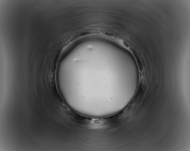 X0000086780371200705041533