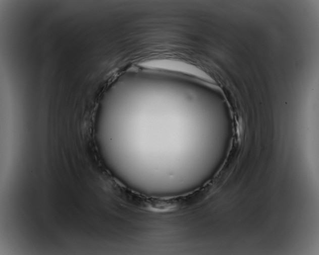 X0000086780372200705041533